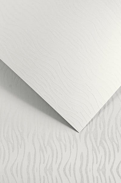 Papier GP A4/200g Pacific biały (20) Papier GP A4/200g Pacific biały (20)