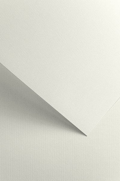 Papier GP A4/220g Floryda biały (20) Papier GP A4/220g Floryda biały (20)