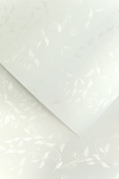 Papier GP A4/230g Liana biały (20) Papier GP A4/230g Liana biały (20)