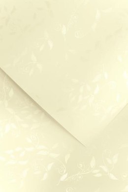 Papier GP A4/230g Liana kremowy (20)