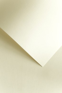 Papier GP A4/230g Płótno biały (20)